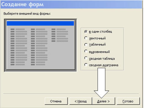 Выбор внешнего вида формы -2